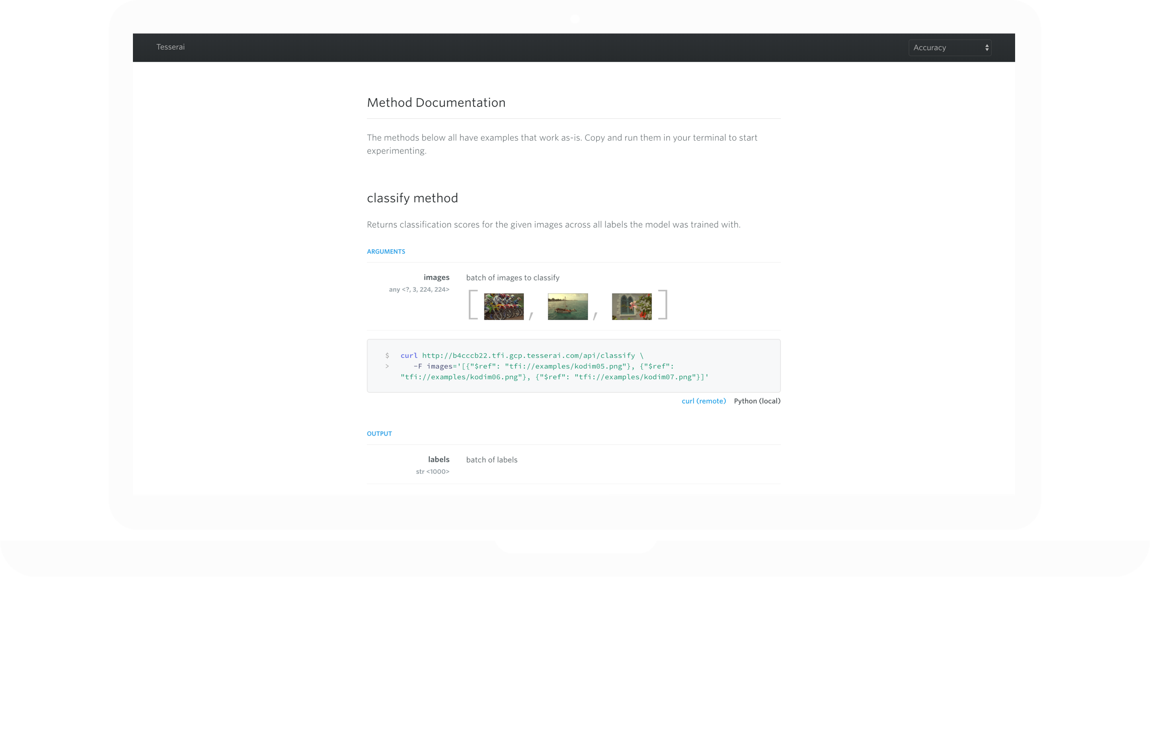 screenshot of tesserai documentation example